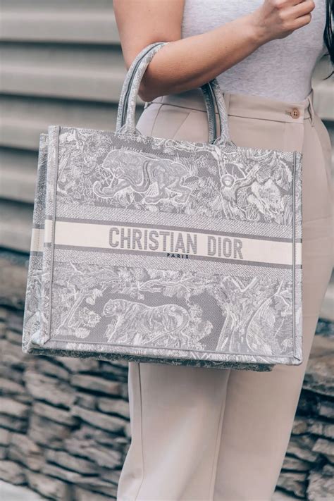 dior tote bag small carnage replica|best dior tote dupe.